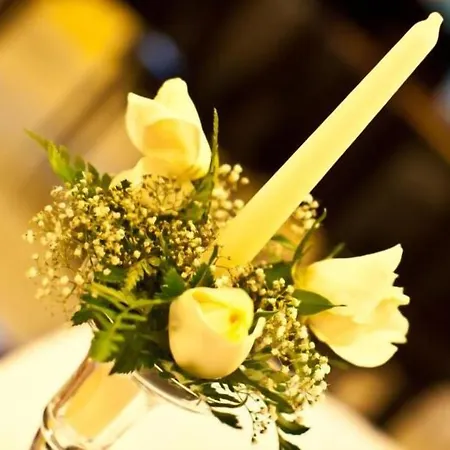 Yellow Park Hotel