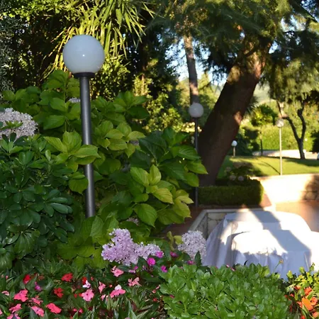 Yellow Park Hotel 3*