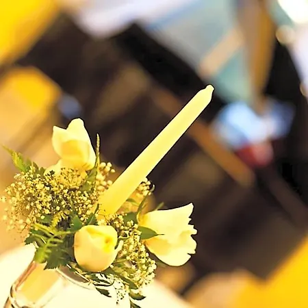 Yellow Park Hotel